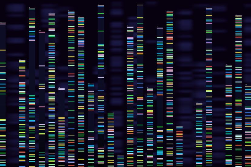 DNA sequence