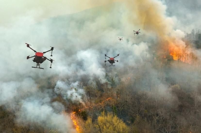 wildfire shutterstock