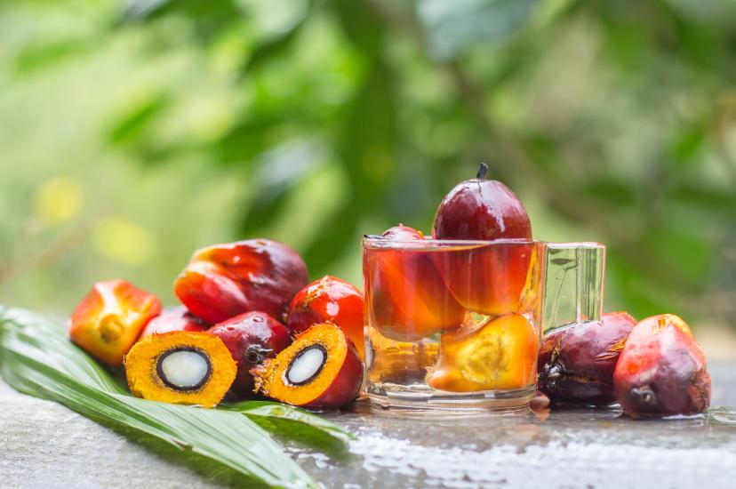 Edible palm oil extracted from the fruit 