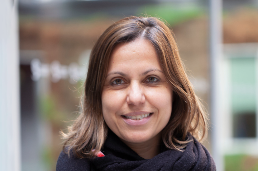 Eleni Diamanti, Research Director, CNRS 