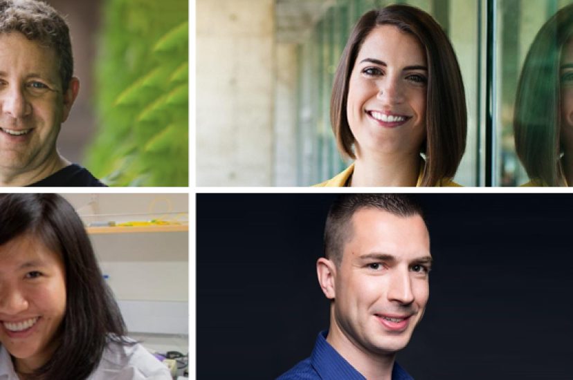 Clockwise from top left: Martin Ettenberg, Princeton Infrared Technologies; Katie Schwertz, Edmund Optics; Niels Quack, University of Sydney; Judith Su, University of Arizona