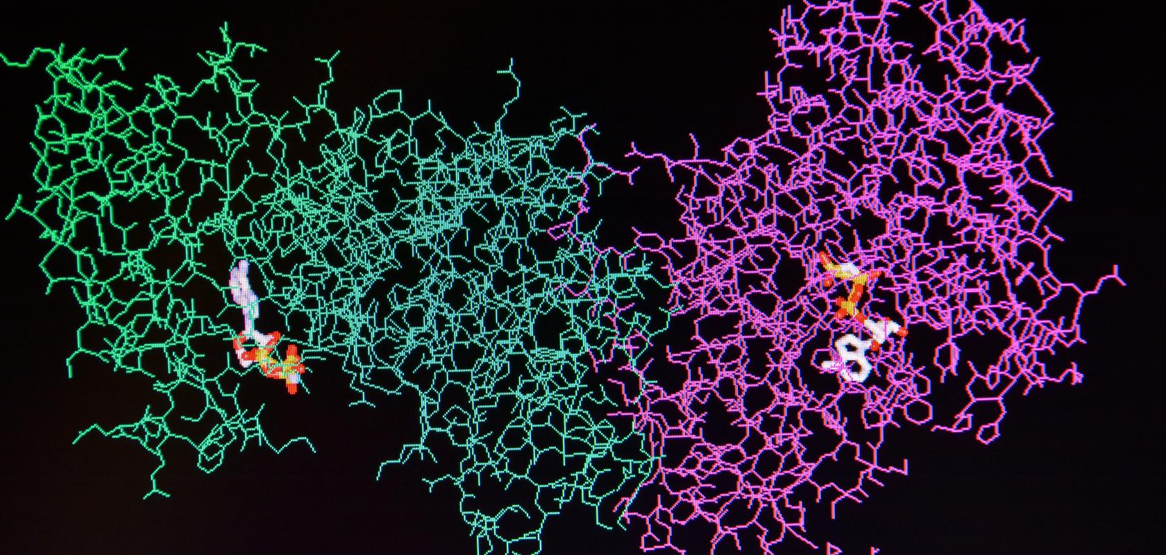 Session 2 Biomolecules and Enzymes - ppt download