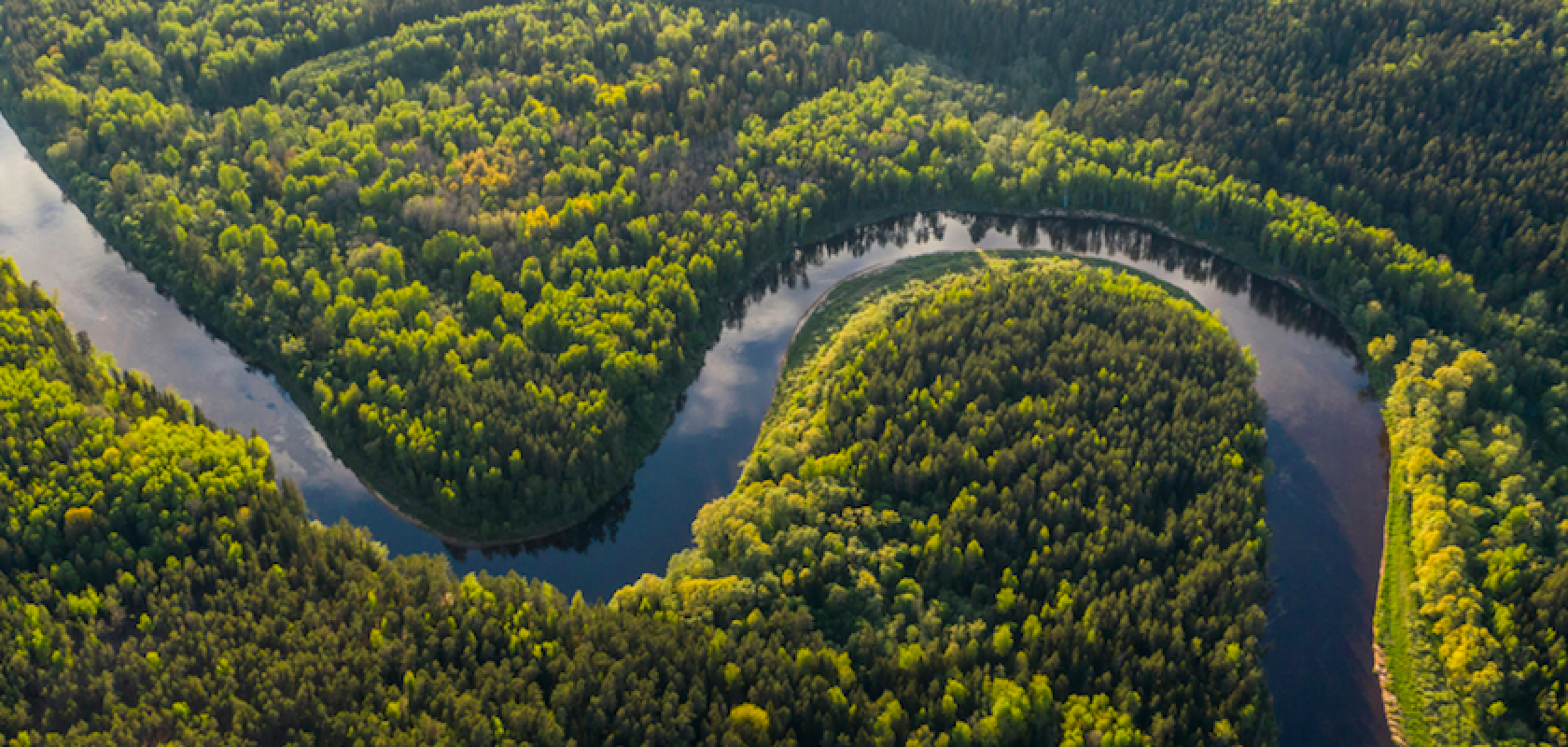 In recent years, measurements in the Amazon forest suggest that it has been releasing more carbon than it has absorbed 