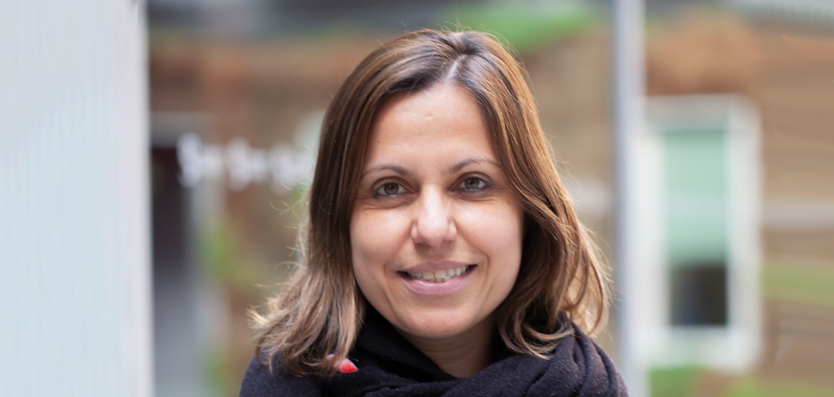 Eleni Diamanti, Research Director, CNRS 