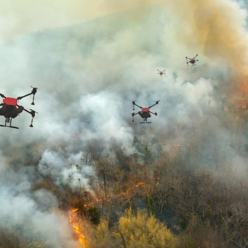 wildfire shutterstock