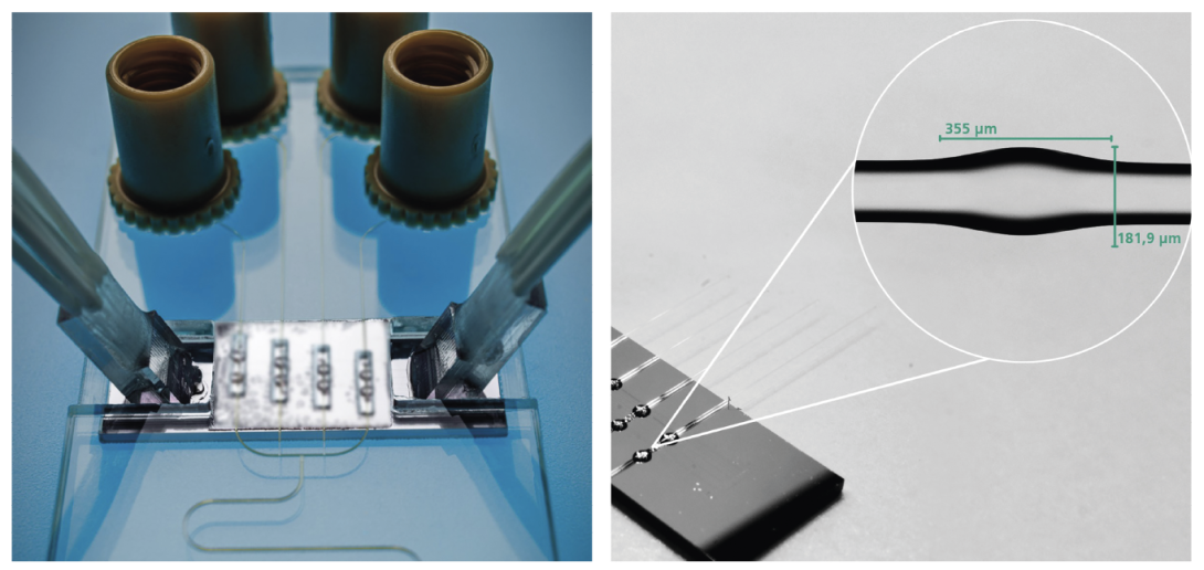 PoC-BoSens project’s optofluidic cartridge and photonic chip