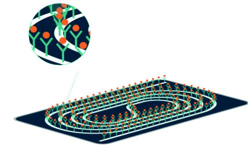 Surfix’s photonic biochip