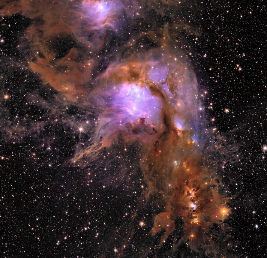 Euclid’s new image of star-forming region Messier 78